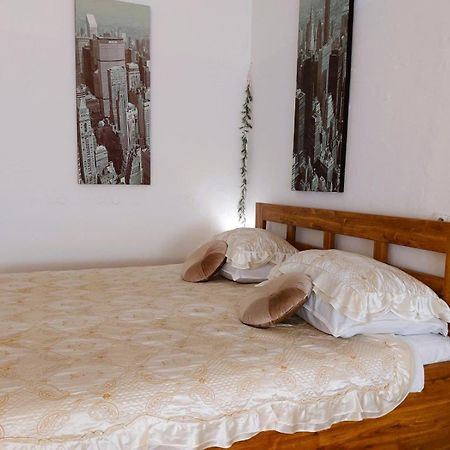 Exkluzivni Apartman V Prizemi V Hradci Kralove Hradec Králové 外观 照片