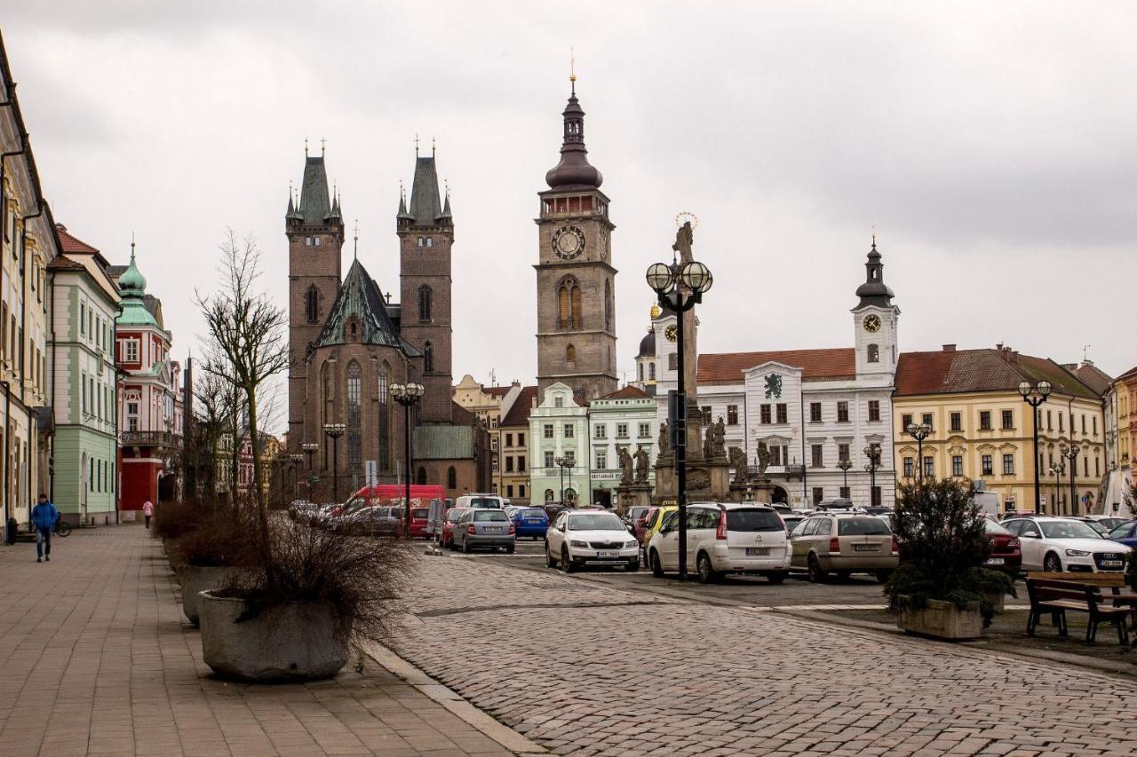 Exkluzivni Apartman V Prizemi V Hradci Kralove Hradec Králové 外观 照片