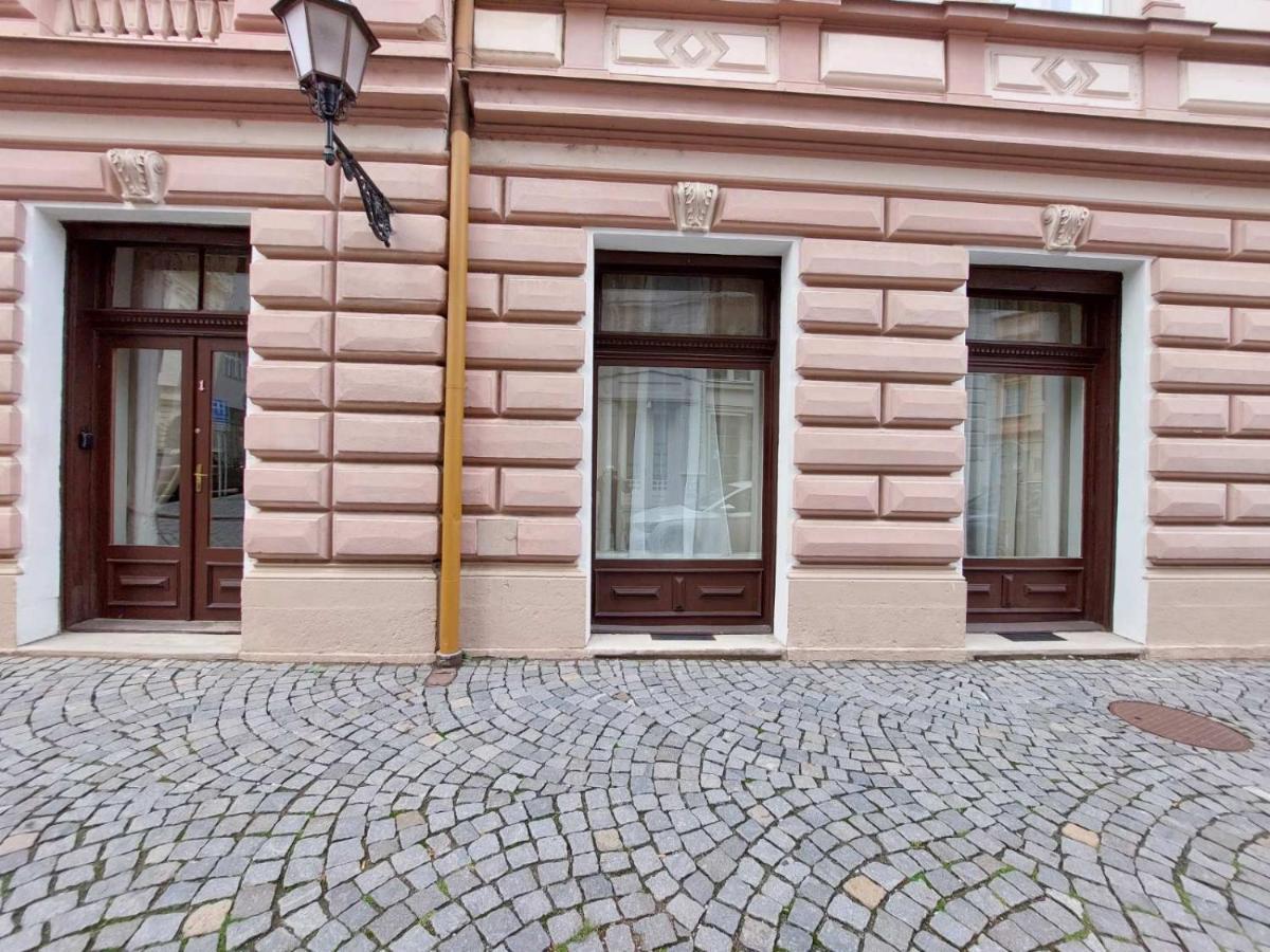 Exkluzivni Apartman V Prizemi V Hradci Kralove Hradec Králové 外观 照片