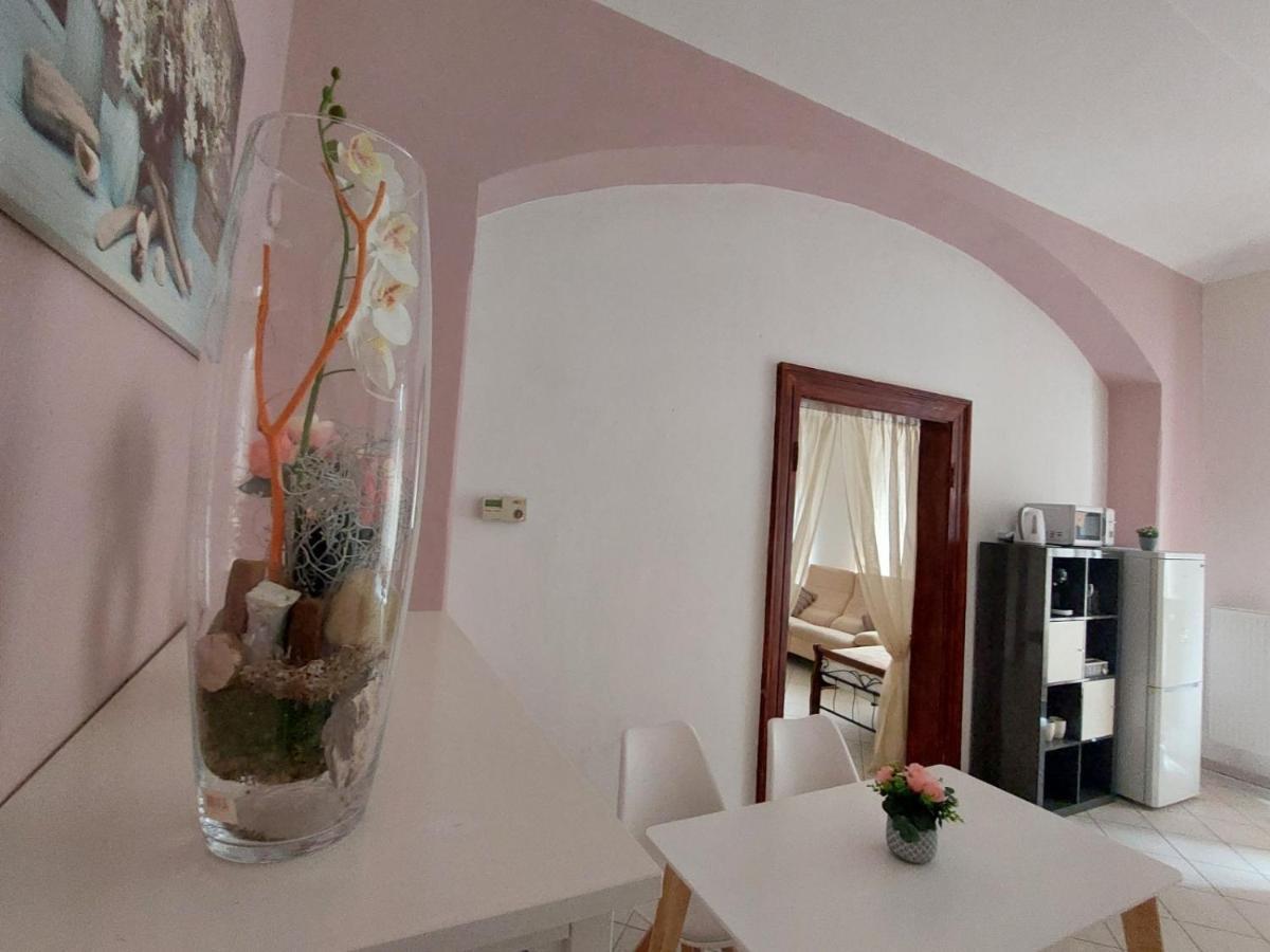 Exkluzivni Apartman V Prizemi V Hradci Kralove Hradec Králové 外观 照片