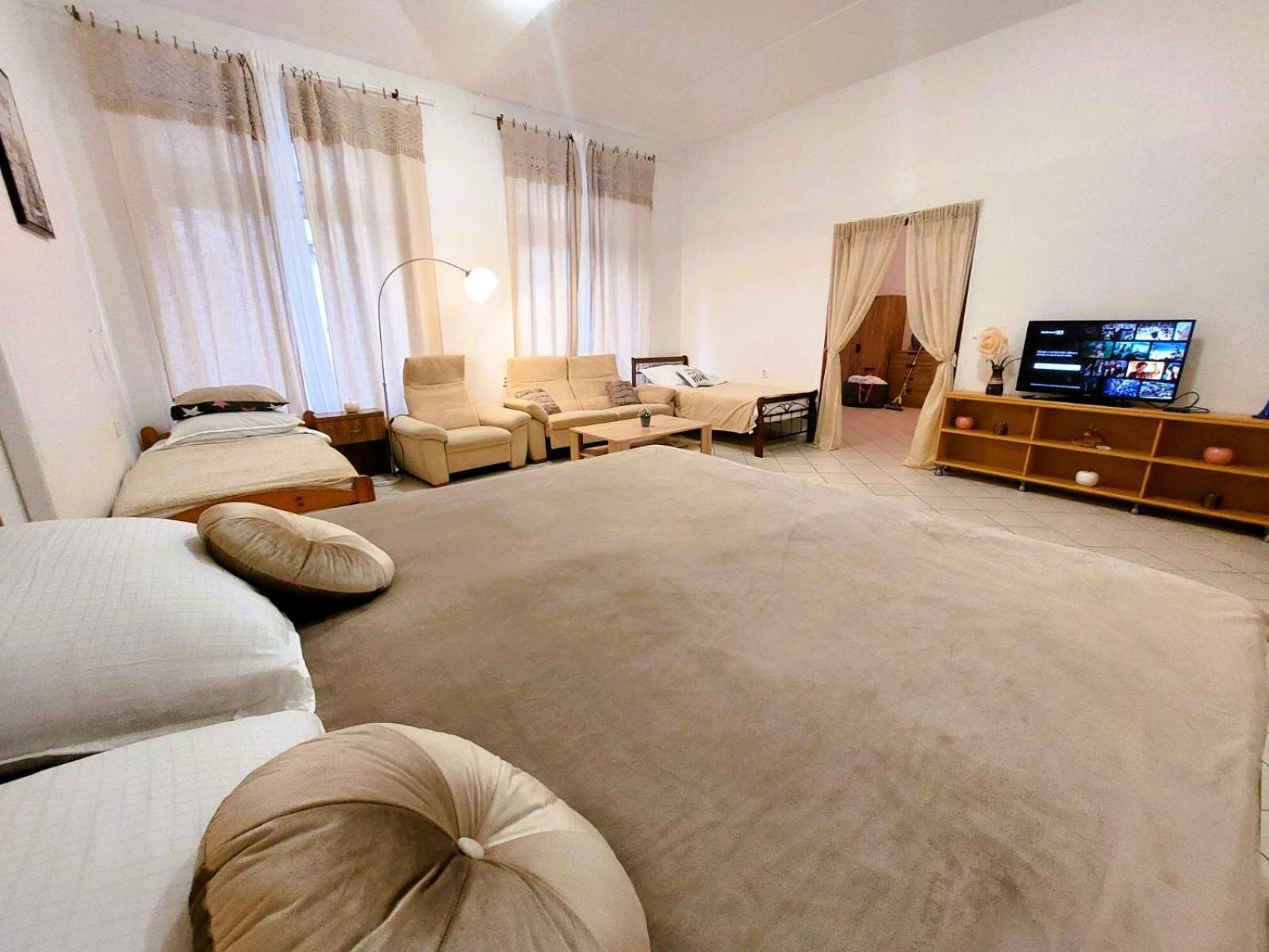 Exkluzivni Apartman V Prizemi V Hradci Kralove Hradec Králové 外观 照片