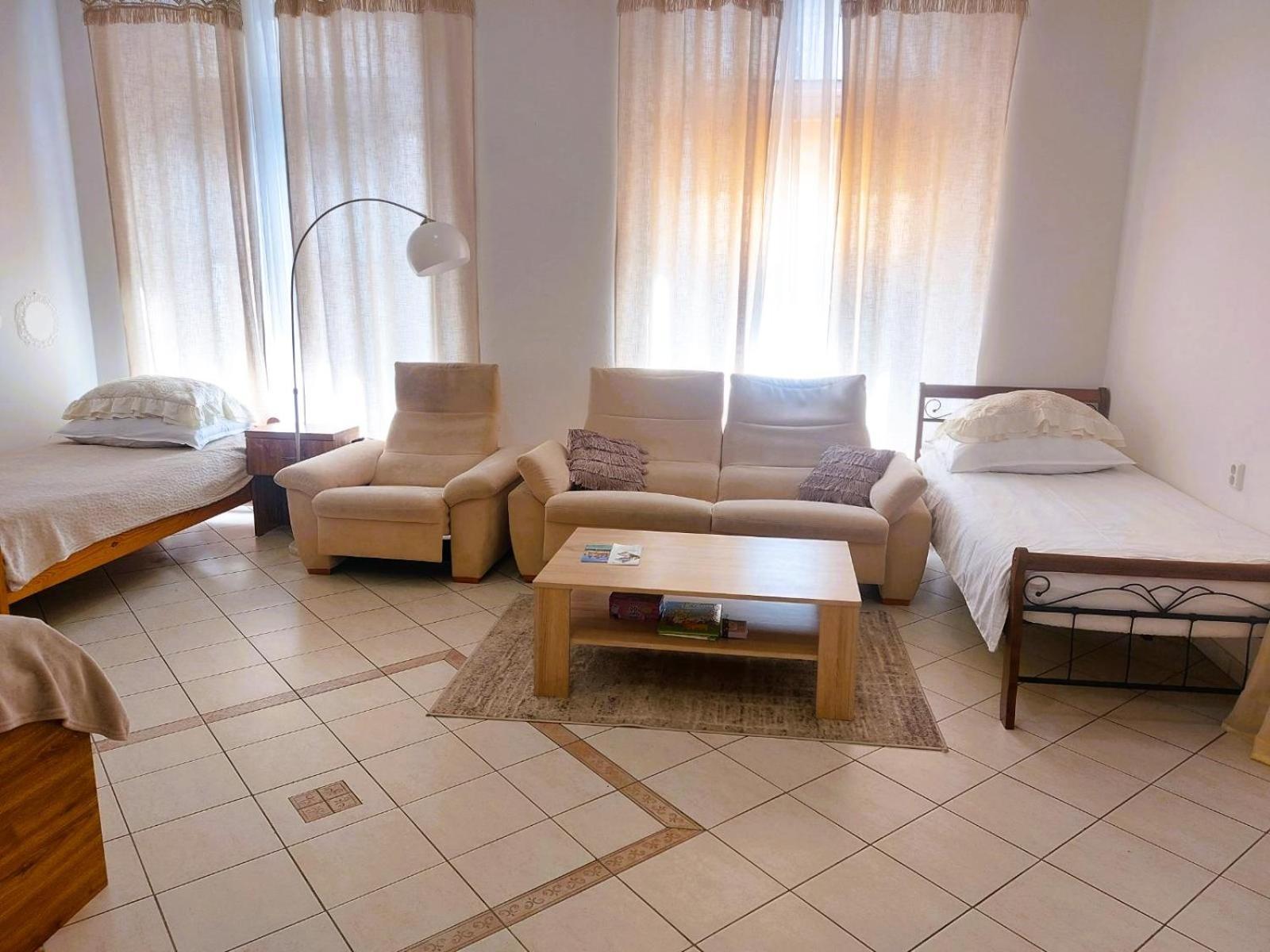 Exkluzivni Apartman V Prizemi V Hradci Kralove Hradec Králové 外观 照片