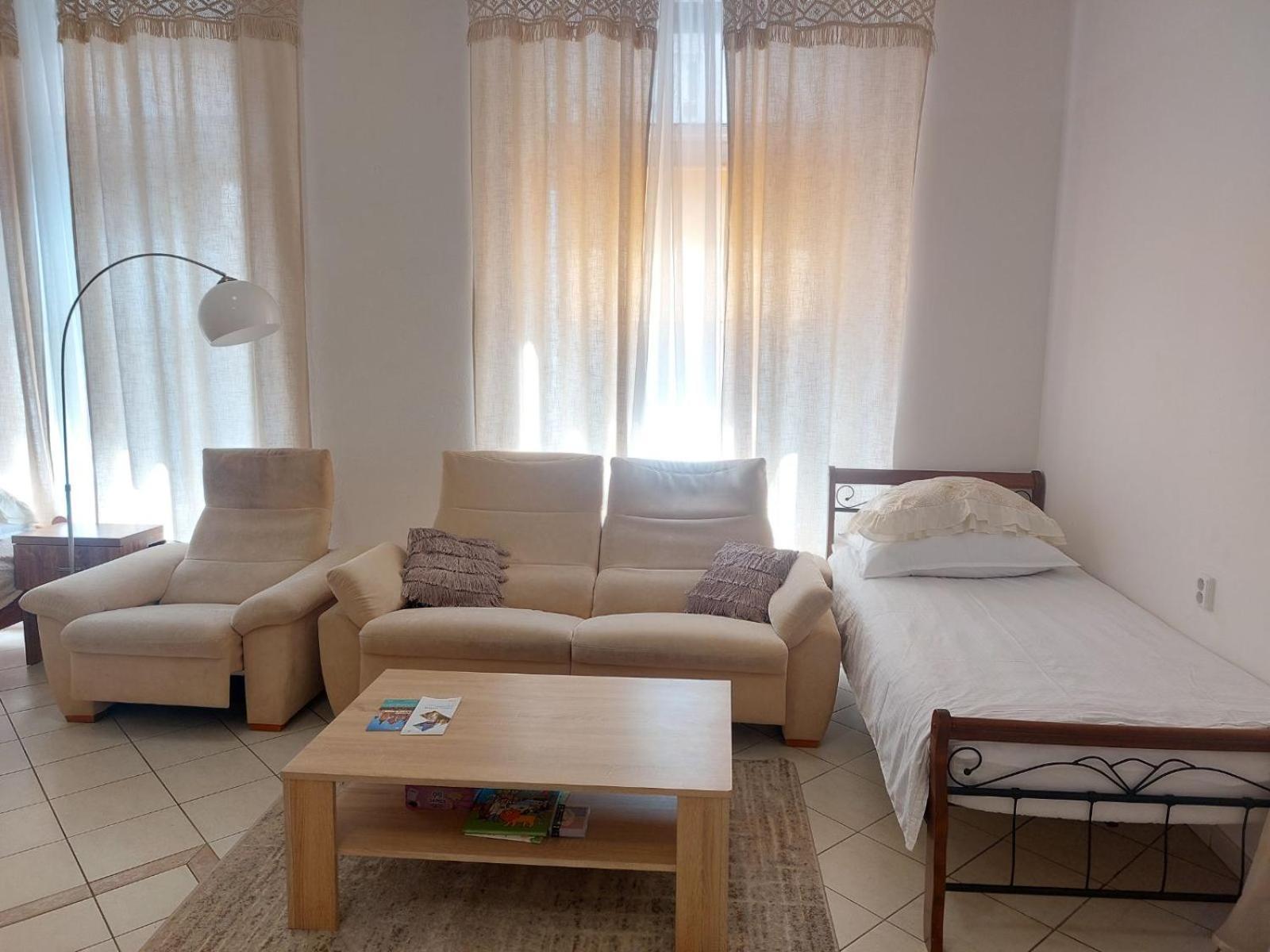 Exkluzivni Apartman V Prizemi V Hradci Kralove Hradec Králové 外观 照片